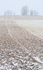 SNOW SQUALL - OXFORD COUNTY