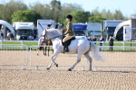 SBM_08848