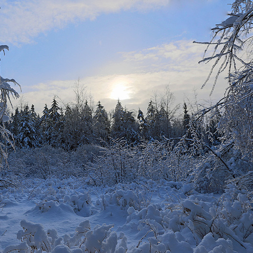 The Great Ice Storm of 2013