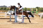 SBM_000610
