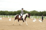 SBM_007139
