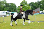 SBM_00880