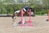 BPP_7423