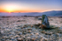 Waun Mawn Sunrise