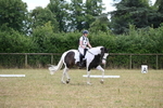 WJ6_5355