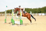 SBM_003538