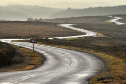 Recent Photographs portfolio