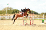 SBM_002201