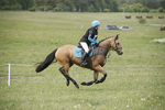 BVHT 140517  NXC -228
