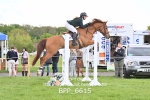 BPP_6615