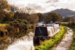 Between Bridges 25 and 26, Macclesfield Canal (6)