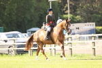 SBM_12468