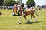 SBM_15707