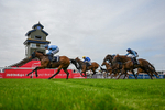 140726-Race 5-Crafty Spirit-4069