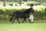 SBM_62728
