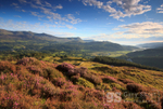 Mawddach view