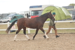 SBM_07615