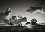 Last Light