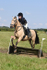 SNCP_0193