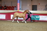 SBM_14878