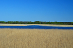 Sutlepa meri, Silma Nature Reserve, Estonia