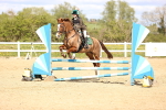 SBM_002981