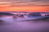 z1698 Dawn Mist, Arreton