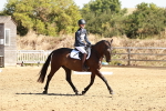 SBM_001372