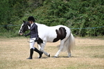 WJ7_1725
