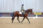 SBM_003819