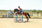 SBM_005984