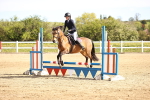 SBM_000329