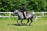 3E7A6342