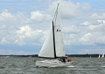 120715 TALL SHEEP WT7A6180