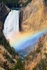 Artist point, Yellowstone