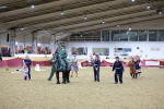 SBM_10205