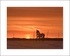 'Sunrise' Lifeboat Horse, Wells Quay