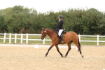 SBM_00985