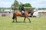 SBM_15851