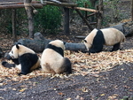 CHINA__0055