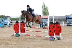 SBM_001818