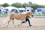 SBM_18695
