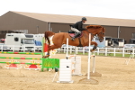 SBM_009914