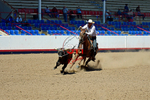 3HRodeo8-11-25_PRCASteer_05849_