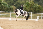 SBM_01591