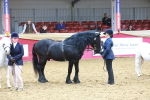 SBM_16793