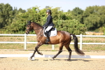 SBM_006733