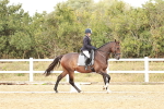 SBM_003689