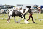 SBM_05501