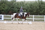 SBM_003033